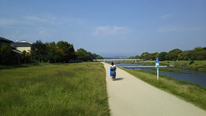 鴨川散歩 丸太町橋北2/京都 ブログガイド