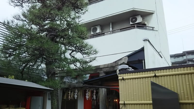 市比賣神社5/京都ブログガイド