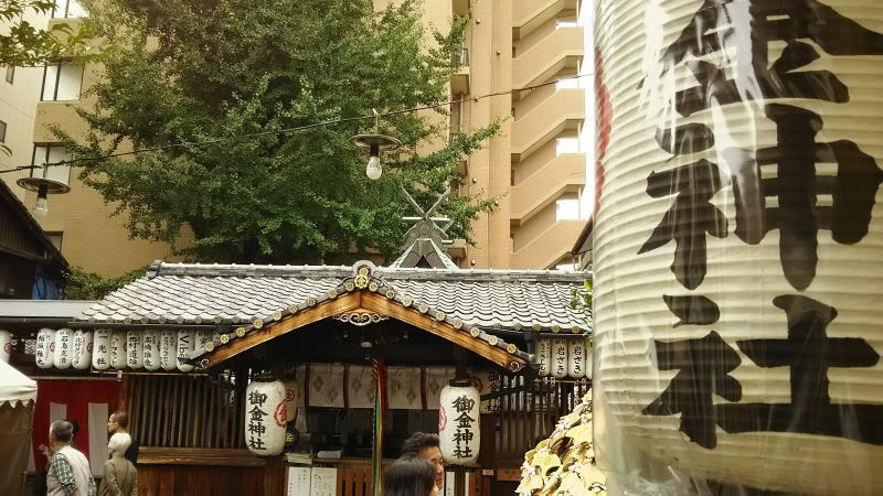京都 御神木のある神社 御神木のイチョウの木