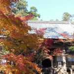 西明寺3/京都 ブログ ガイド