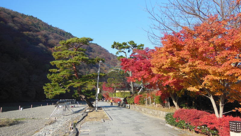 京都観光 自転車 嵐山 紅葉3 / 京都 ブログ ガイド