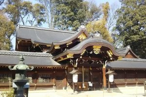 今宮神社 / 京都 ブログガイド