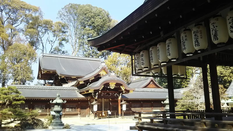 今宮神社 / 京都 ブログガイド