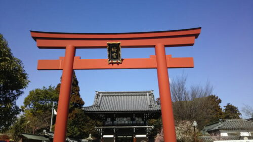 梅宮大社1 / 京都 ブログガイド