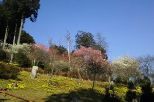 石山寺 / 京都 ブログガイド