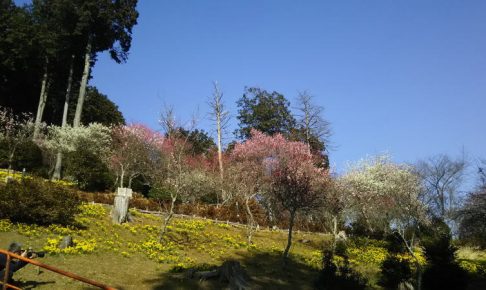 石山寺 / 京都 ブログガイド