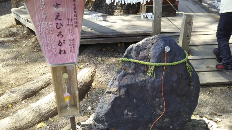 平野神社すえひろがね / 京都 ブログ ガイド