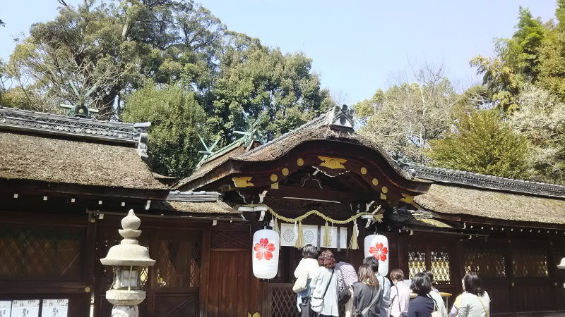 平野神社本殿 / 京都 ブログ ガイド