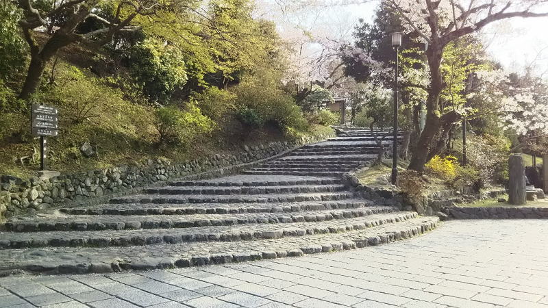 京都 桜 洛西 嵐山 / 京都 ブログ ガイド