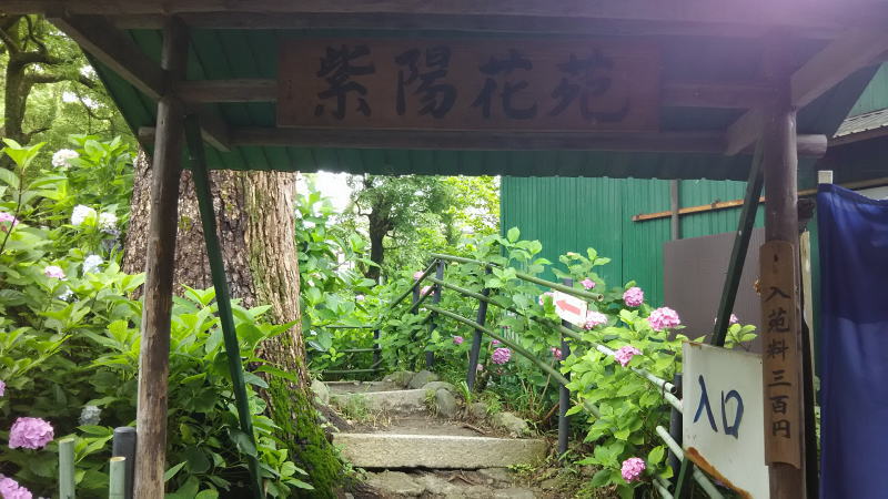 藤森神社9 / 京都 ブログ ガイド