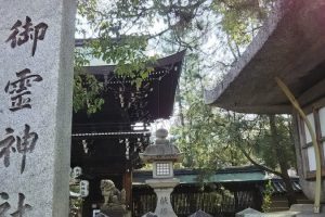 御霊神社（上御霊神社） / 京都 ブログ ガイド