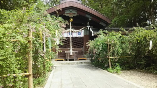 梨木神社 萩まつり 1/ 京都 ブログ ガイド