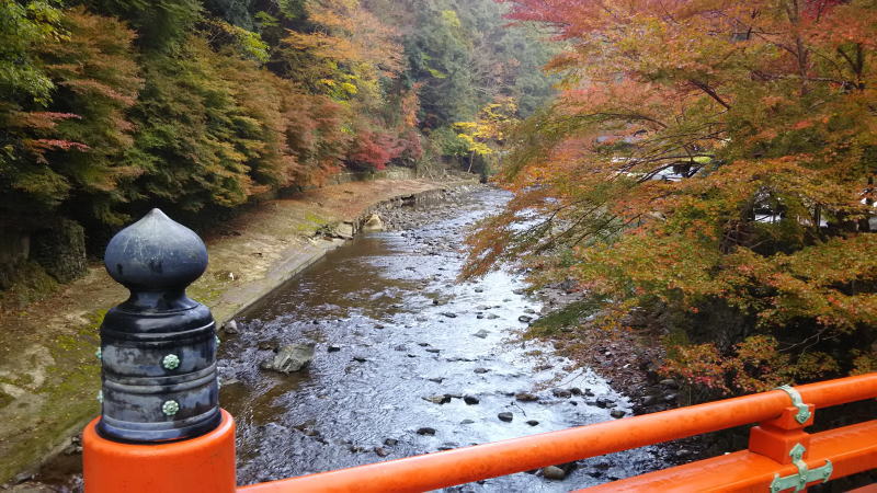 高雄橋の上流側の眺め / 京都 ブログ ガイド
