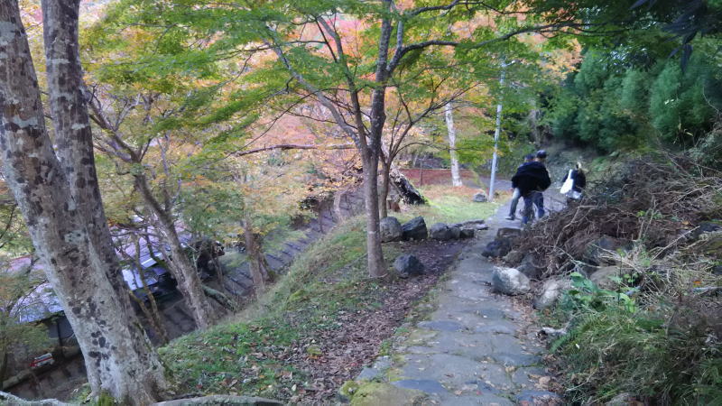 谷へ降りる道 / 京都 ブログ ガイド