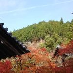 2019年11月 京都イベント情報 / 京都 ブログ ガイド