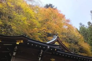 貴船神社 2018 / 京都 ブログ ガイド