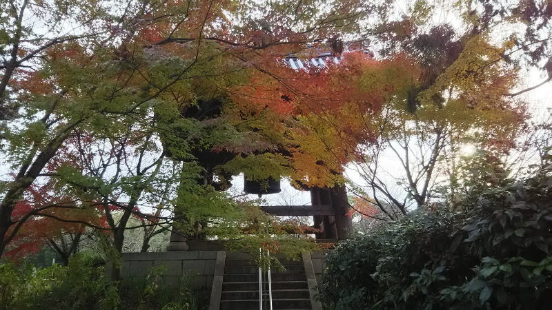 鐘楼付近の紅葉 2018 / 京都 ブログ ガイド