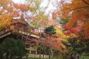 今熊野観音寺 2018 / 京都 ブログ ガイド