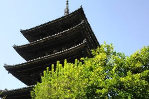 京都 観光・旅行 / 京都 ブログ ガイド