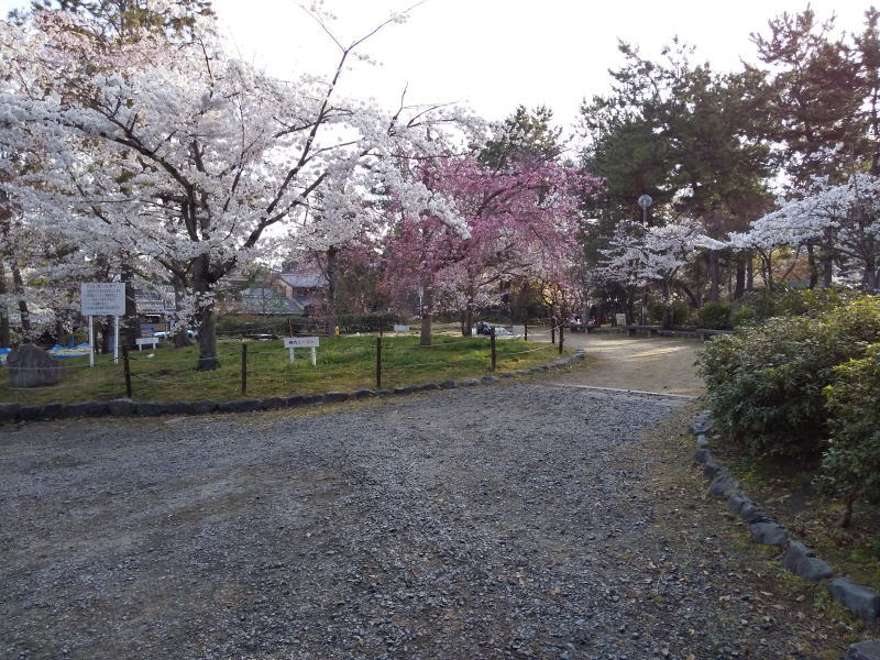 八坂神社 北側の広場 2019 / 京都 ブログ ガイド