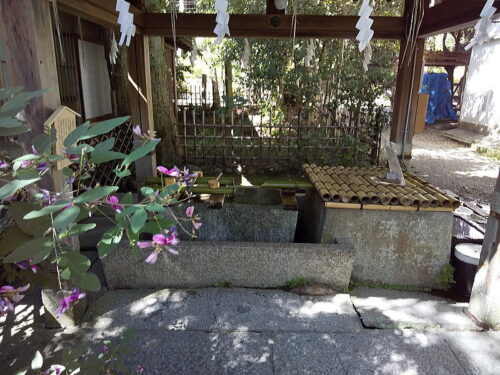 染井 / 京都 ブログ ガイド
