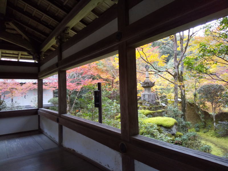 西明寺 苔庭/ 京都 ブログ ガイド