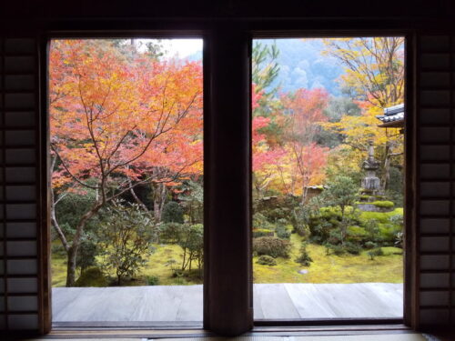 西明寺 苔庭/ 京都 ブログ ガイド