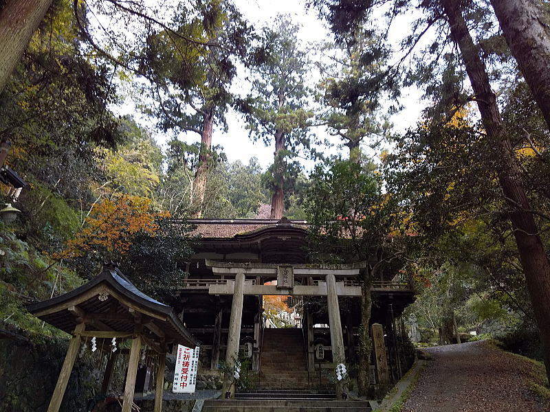 京都 御神木のある神社 由岐神社