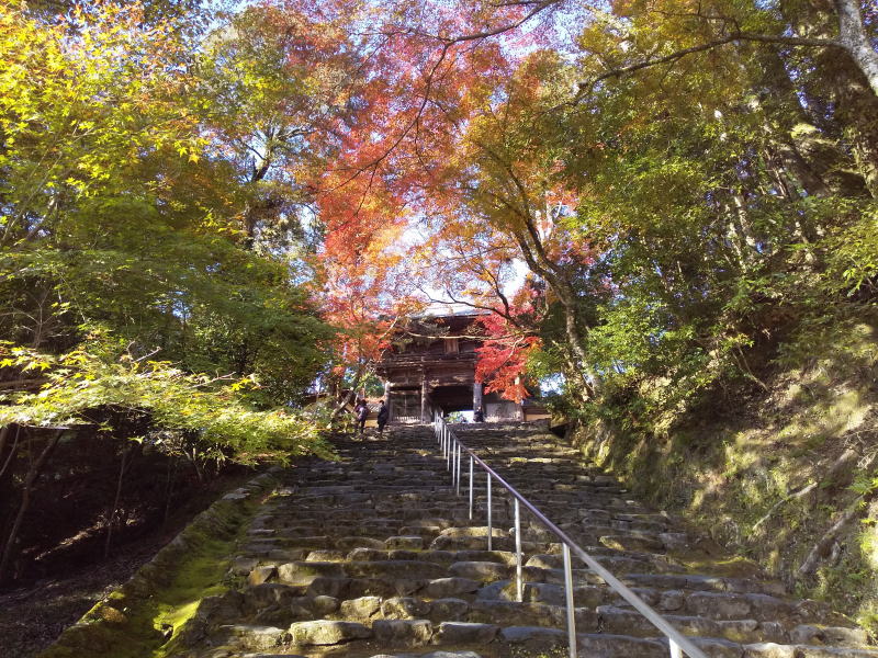 神護寺 / 京都 ブログ ガイド