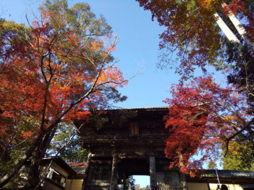 神護寺 / 京都 ブログ ガイド