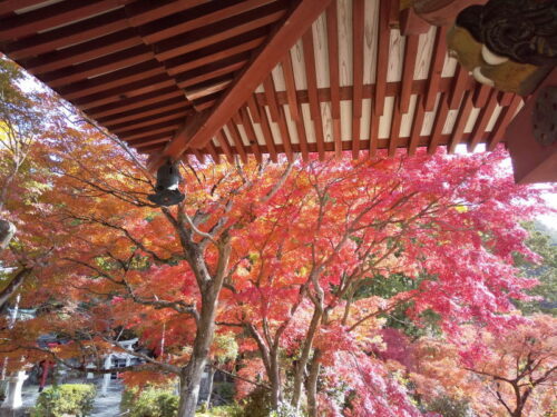 三明院 2019 / 京都 ブログ ガイド