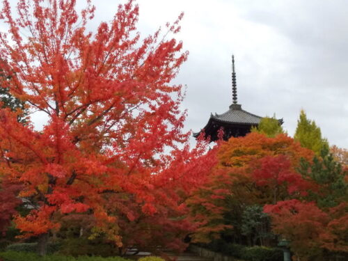 三重塔 2019 / 京都 ブログ ガイド