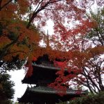 三重塔 / 京都 ブログ ガイド