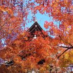 2020年11月 京都イベント情報 / 京都 ブログ ガイド