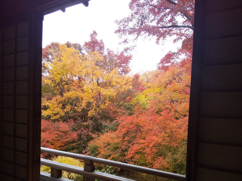 本堂からの紅葉 / 京都 ブログ ガイド