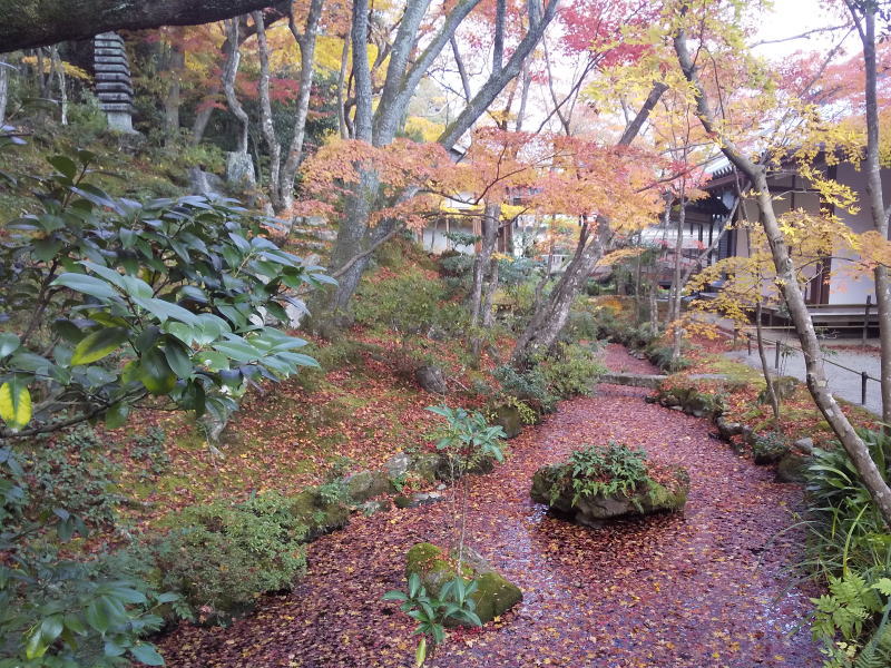本堂裏の庭 / 京都 ブログ ガイド