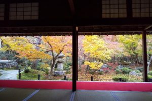 圓光寺2019 / 京都 ブログ ガイド