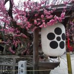2022年2月 京都イベント情報 北野天満宮 / 京都 ブログ ガイド