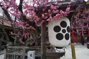 2022年2月 京都イベント情報 北野天満宮 / 京都 ブログ ガイド
