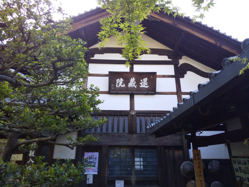 退蔵院 桜 2020 / 京都 ブログ ガイド