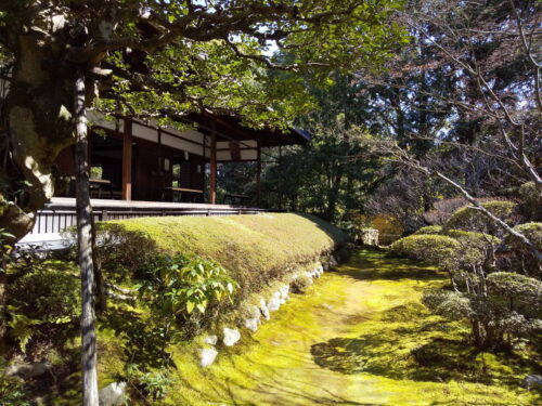桂春院 / 京都 ブログ ガイド