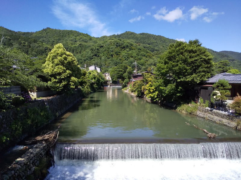 嵐山・嵯峨野 青紅葉 2020 / 京都 ブログ ガイド