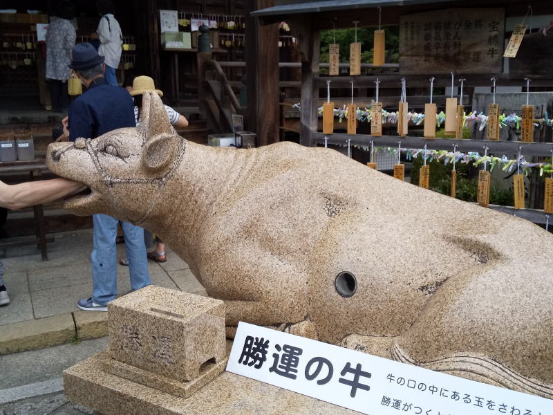 勝運の牛 / 京都 ブログ ガイド