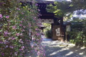 梨木神社 萩 2020 / 京都 ブログガイド