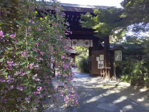 梨木神社 萩 2020 / 京都 ブログガイド