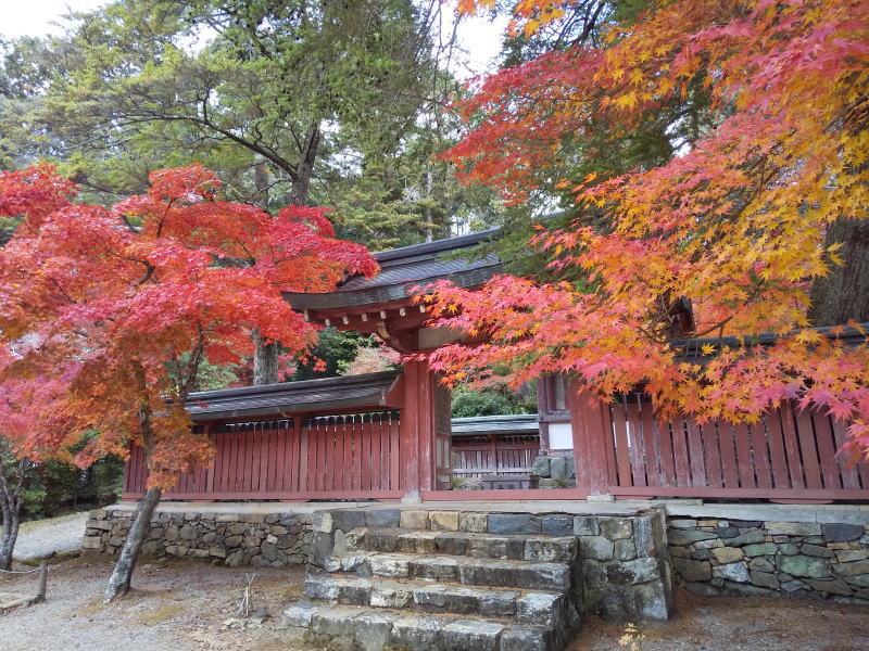 神護寺 2020 / 京都ブログガイド