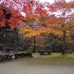 西明寺 2020 / 京都ブログガイド