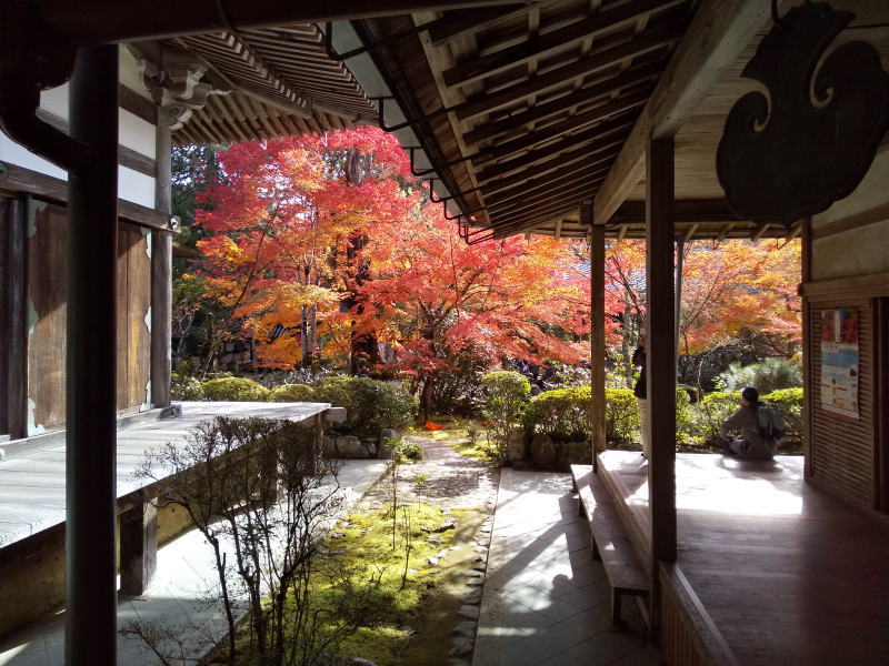 西明寺 2020 / 京都ブログガイド
