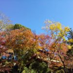 今熊野観音寺 2020 / 京都ブログガイド　