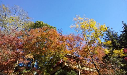 今熊野観音寺 2020 / 京都ブログガイド　